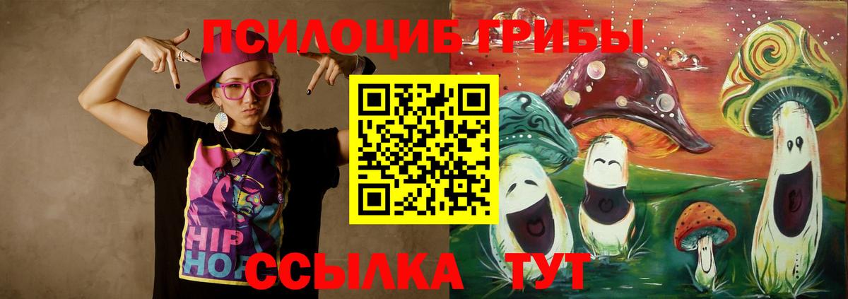 Городец  где можно купить   Вход с VPN  Галлюциногенные грибы мицелий  Псилоцибиновые грибы мицелий 